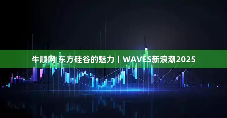 牛顺网 东方硅谷的魅力丨WAVES新浪潮2025