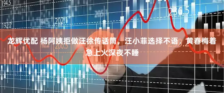 龙辉优配 杨阿姨拒做汪徐传话筒，汪小菲选择不语，黄春梅着急上火深夜不睡