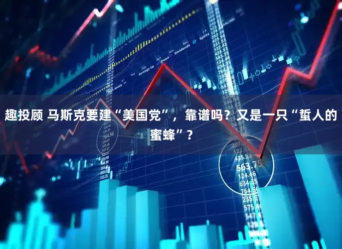 趣投顾 马斯克要建“美国党”，靠谱吗？又是一只“蜇人的蜜蜂”？