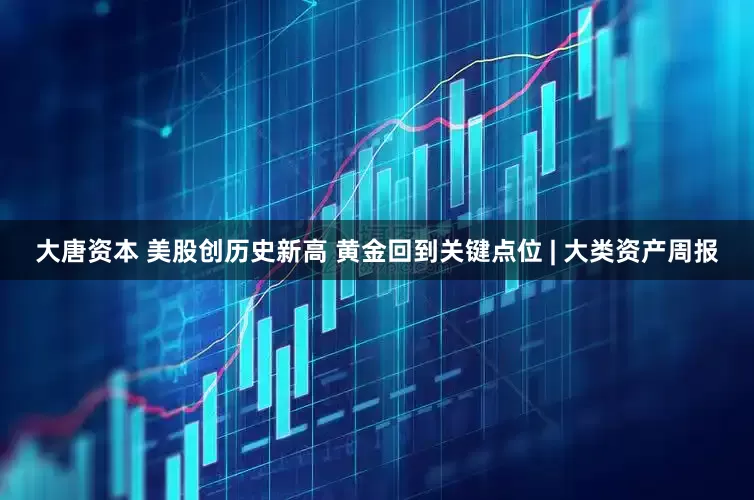 大唐资本 美股创历史新高 黄金回到关键点位 | 大类资产周报