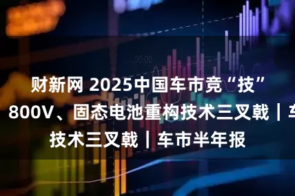 财新网 2025中国车市竞“技”场：智驾、800V、固态电池重构技术三叉戟｜车市半年报