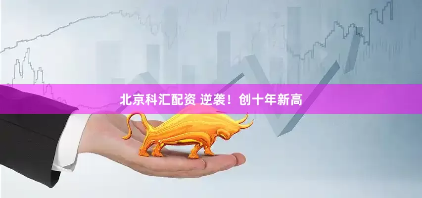 北京科汇配资 逆袭！创十年新高