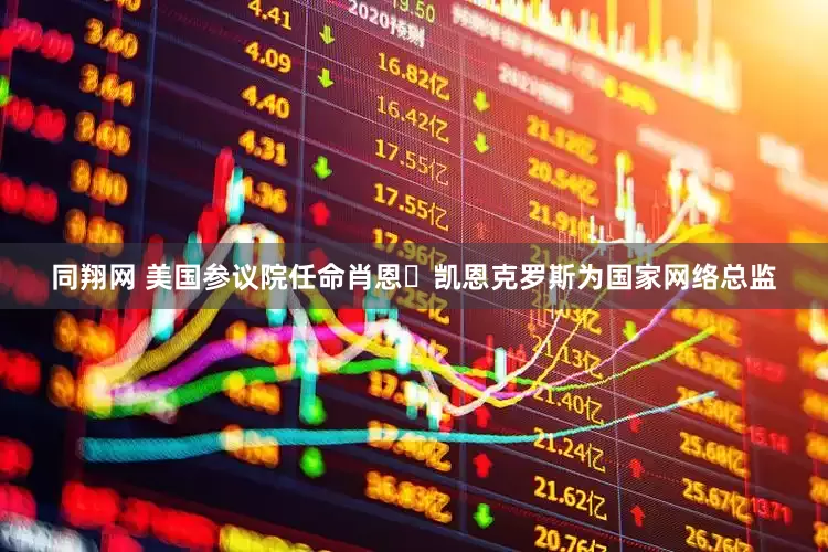 同翔网 美国参议院任命肖恩・凯恩克罗斯为国家网络总监