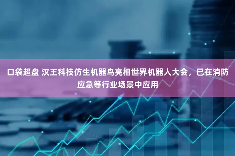 口袋超盘 汉王科技仿生机器鸟亮相世界机器人大会，已在消防应急等行业场景中应用