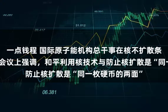 一点钱程 国际原子能机构总干事在核不扩散条约审议大会筹备会议上强调，和平利用核技术与防止核扩散是“同一枚硬币的两面”